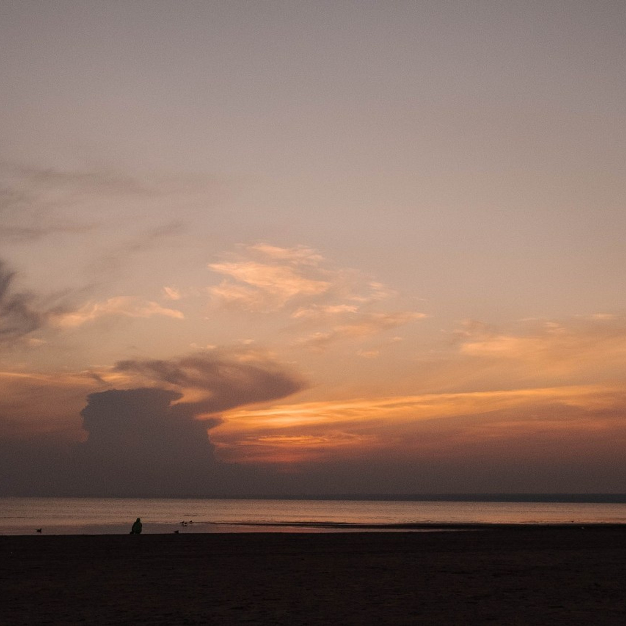 Отзывы. Семейный фотограф в Санкт-Петербурге Дарья Косянчук