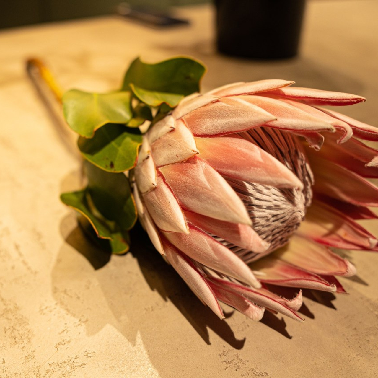 Отзывы. Семейный фотограф Колосова Полина