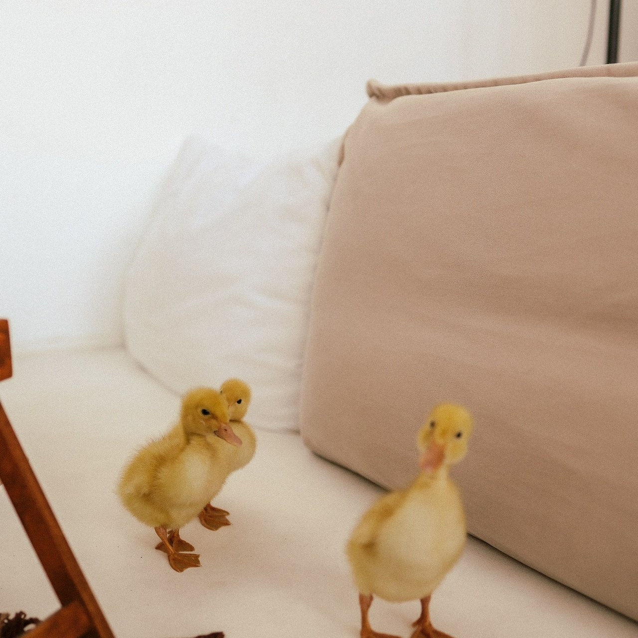 Отзывы. Семейный фотограф Колосова Полина