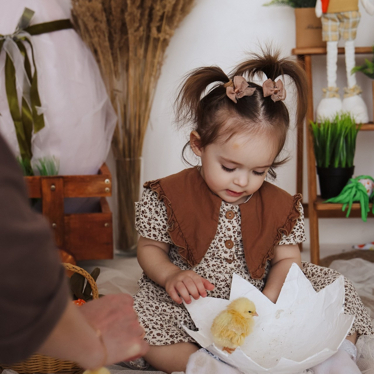 Отзывы. Семейный фотограф Колосова Полина