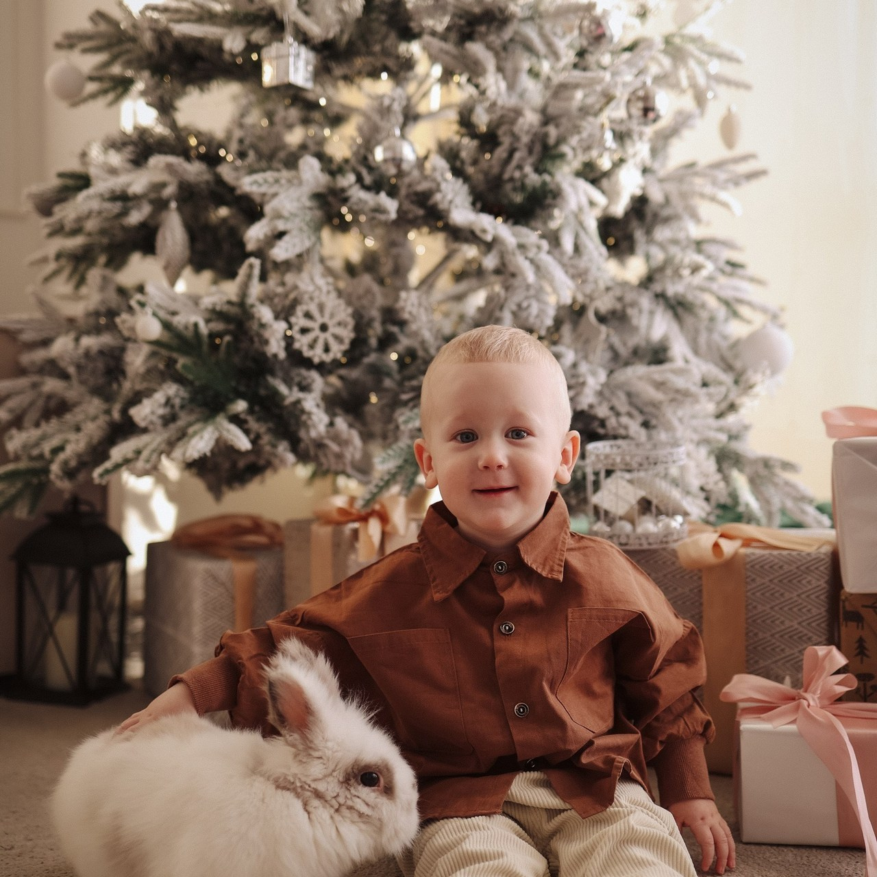 Отзывы. Семейный фотограф Колосова Полина