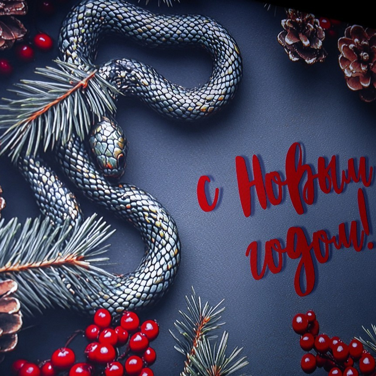 Отзывы. Свадебный фотограф в Иваново Гитарина Черняева