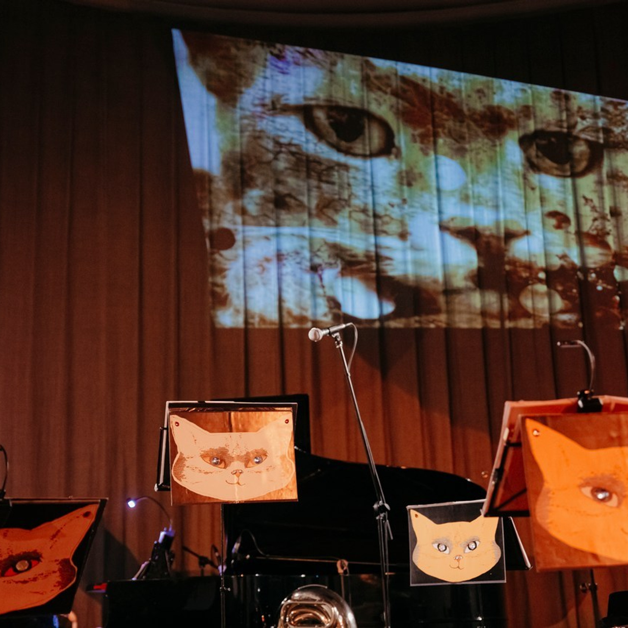 Отзывы. Профессиональный фотограф