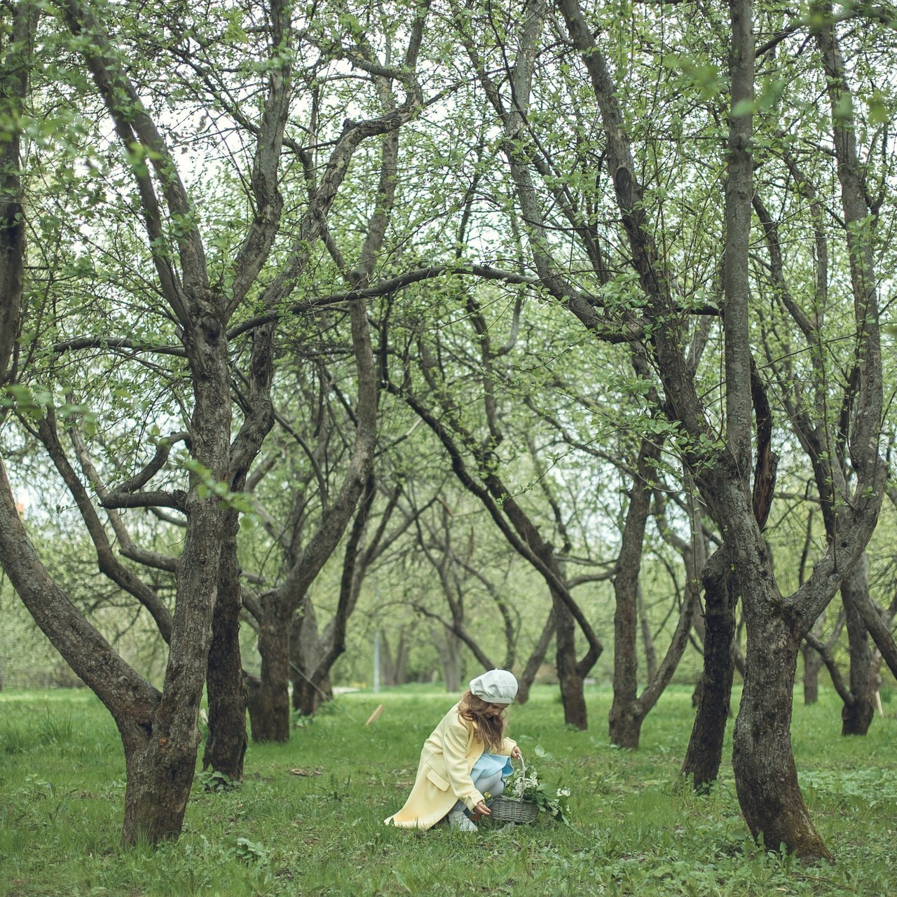 Отзывы. Семейный фотограф в Москве и Московской области Булычева Екатерина