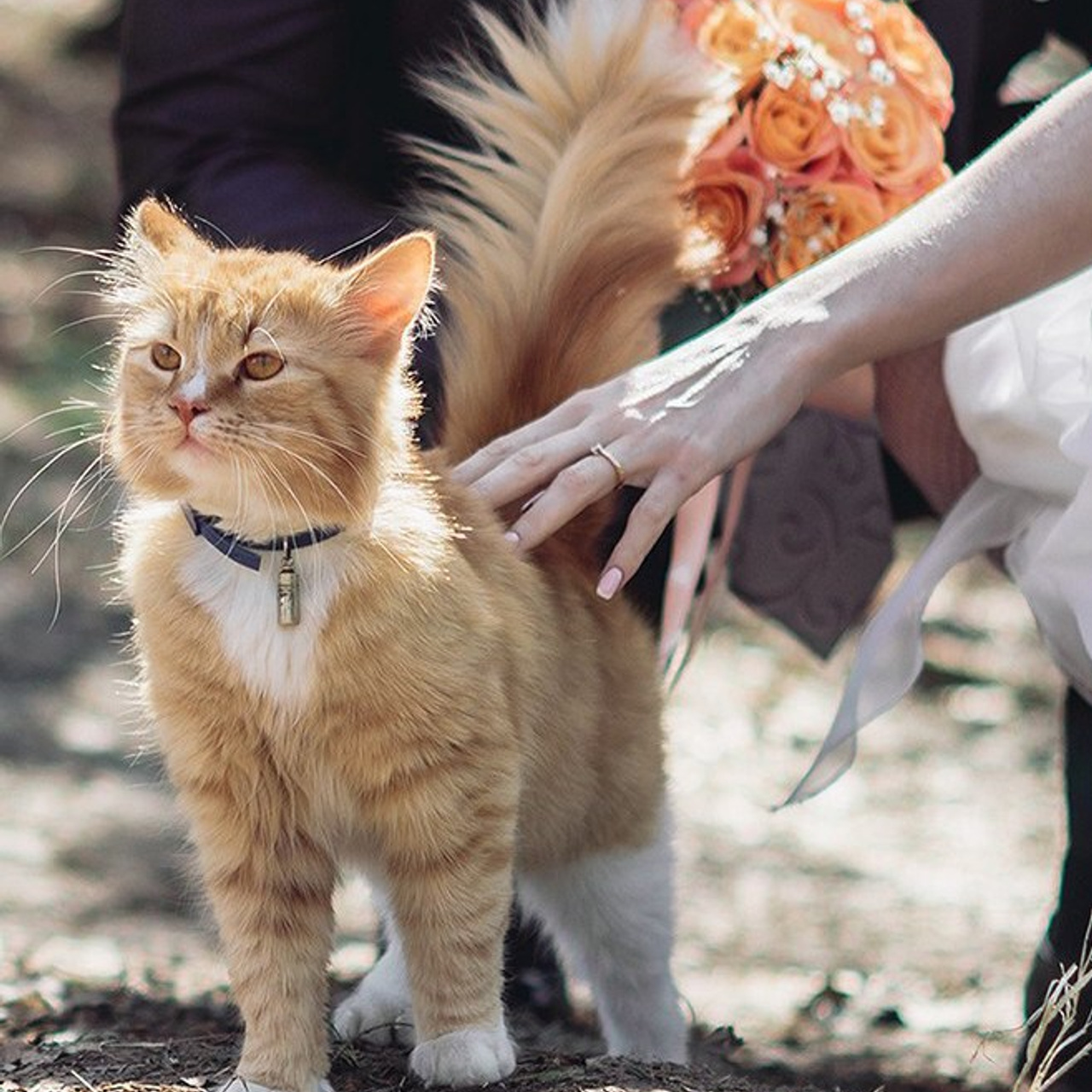 Отзывы. Свадебный и семейный фотограф София Невская