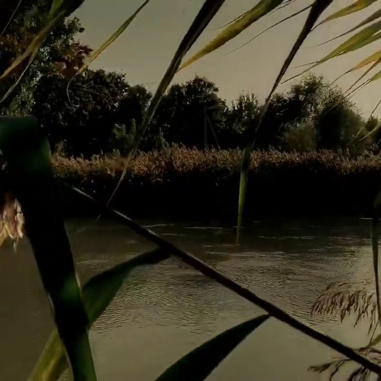 Колдовские сны…