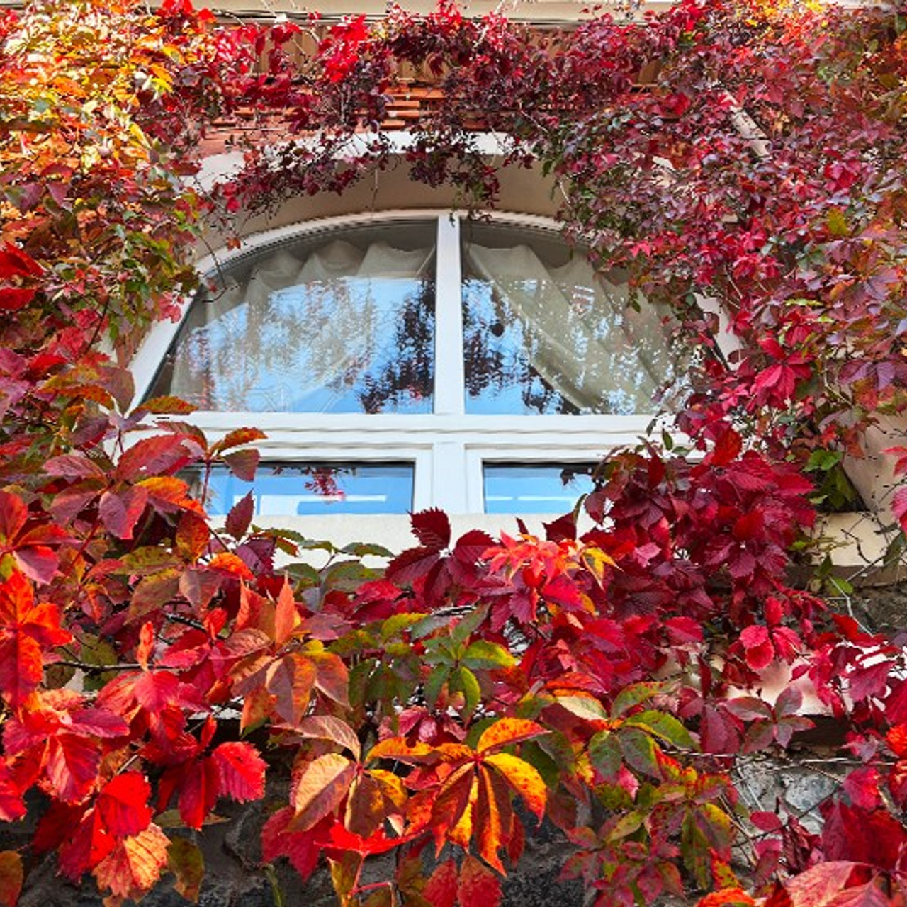 Пейзаж, архитектура, текстура. Фотограф Владивосток Николай Тынько