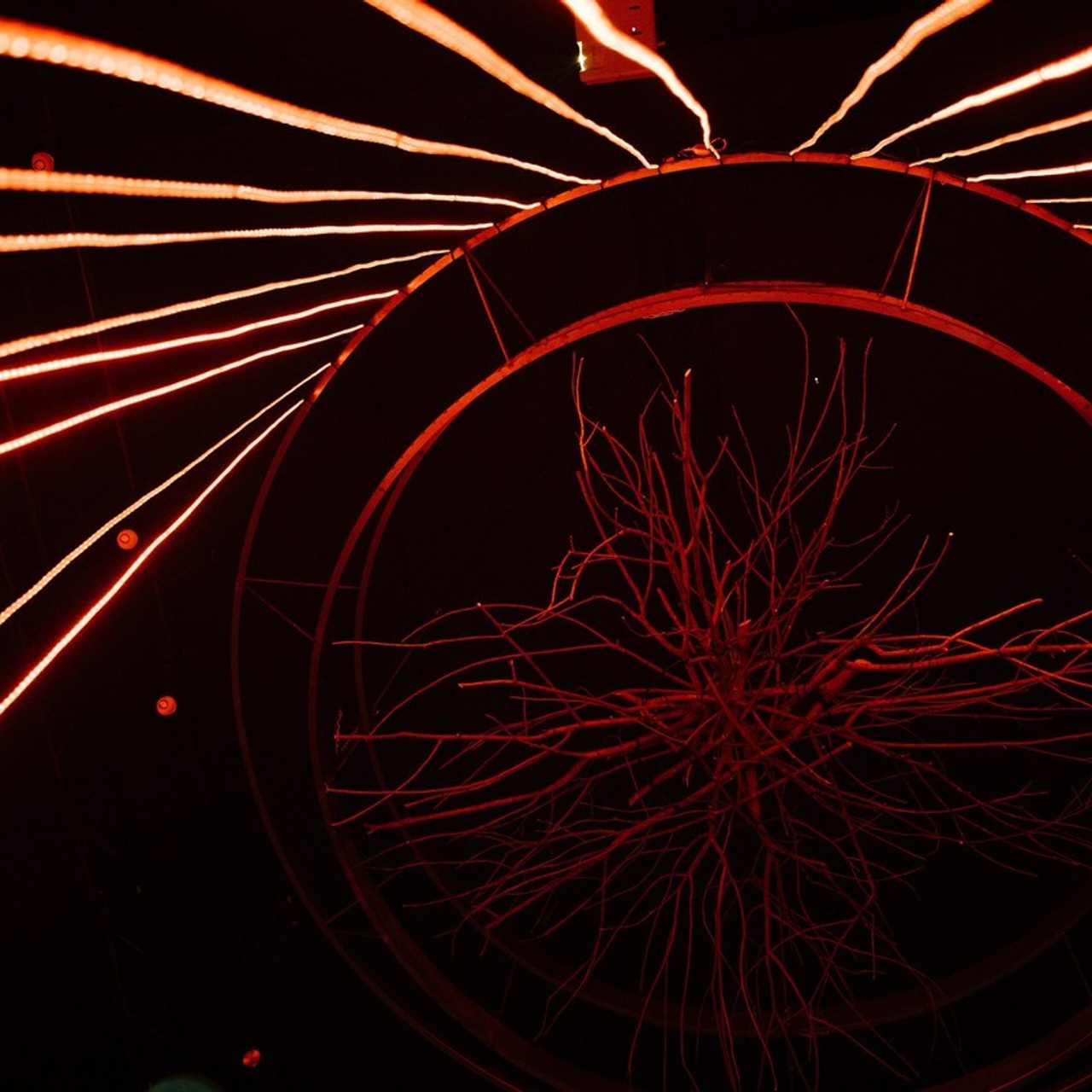 Отзывы. Свадебный фотограф Саша Базенко