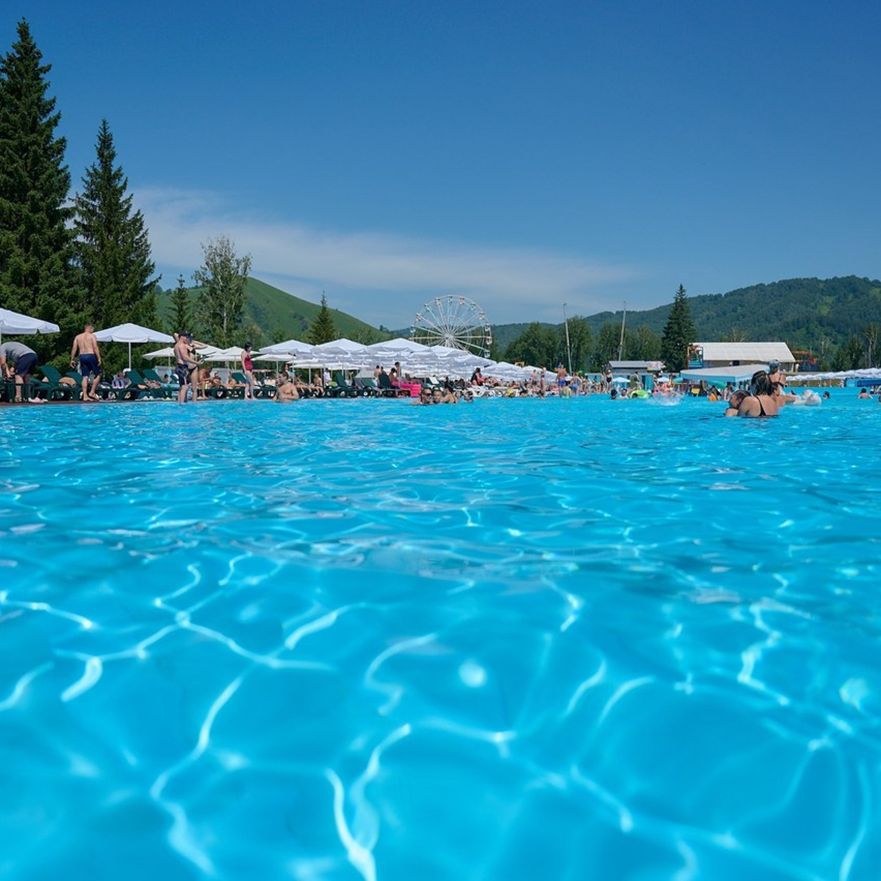 Отзывы. Фотограф Барнаул Горный Алтай