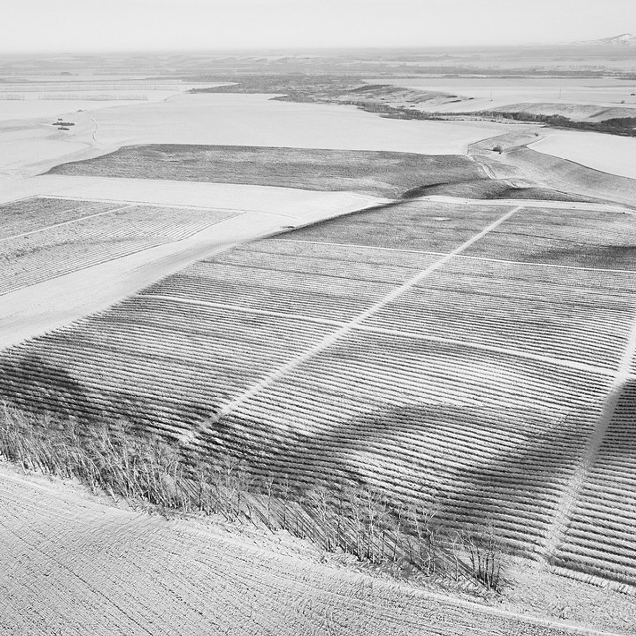 Отзывы. Фотограф Барнаул Горный Алтай