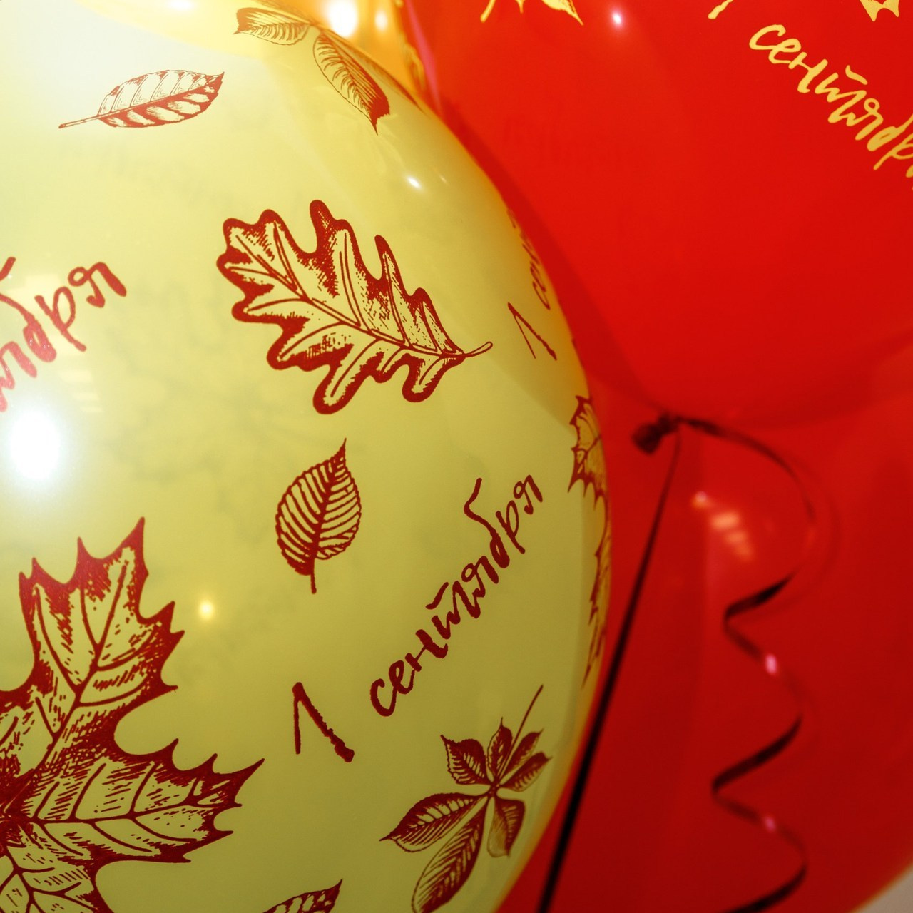 Отзывы. Женский фотограф в Кемерово Мария Чернявская