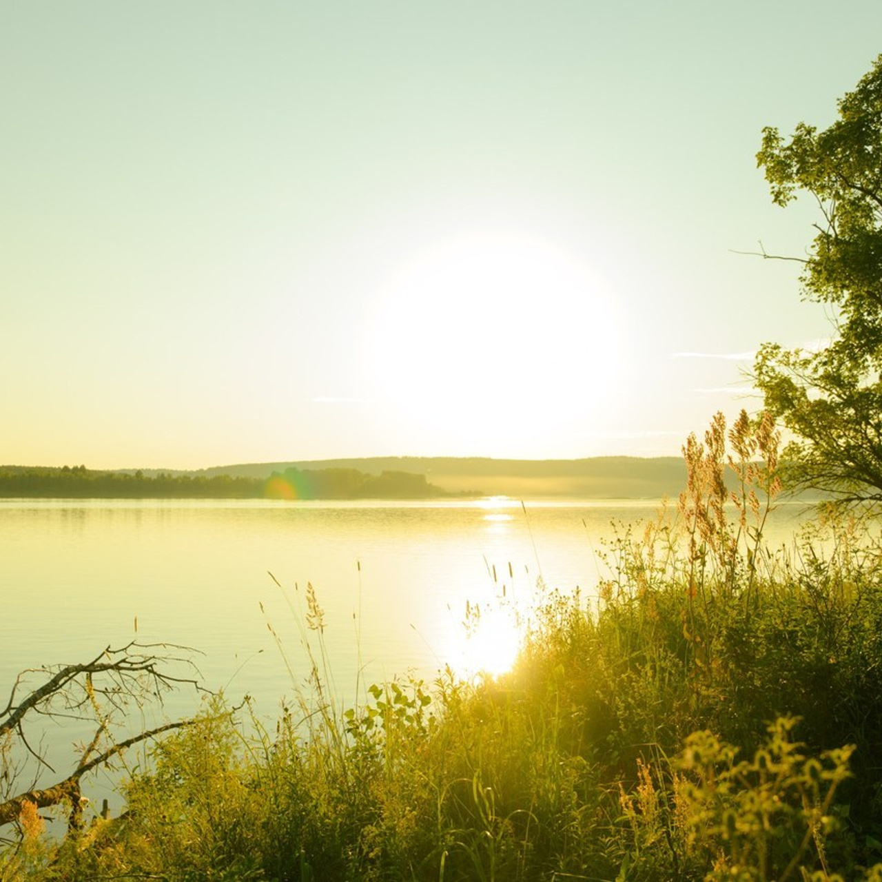 Отзывы. Фотограф Александр Вахтуров|Ижевск