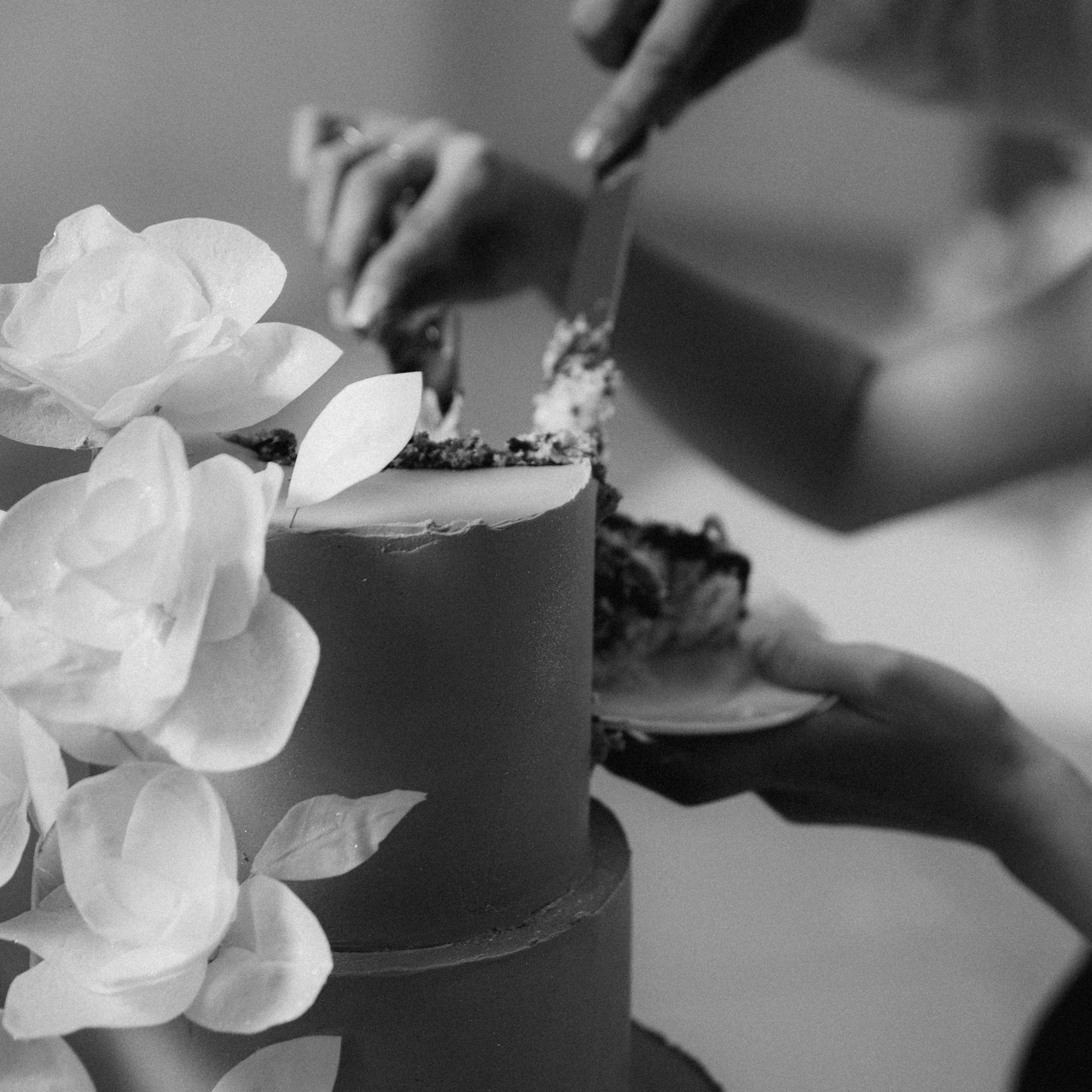 Отзывы. Свадебный и семейный фотограф Василина Батищева в Моздоке, Северной Осетии и КМВ