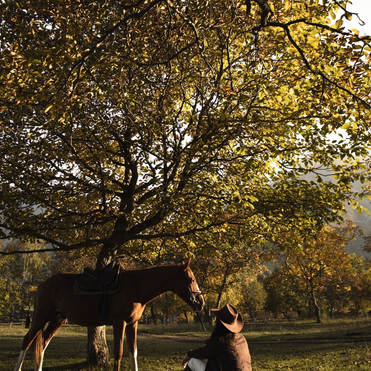 Отзывы. Фотограф во Владикавказе Валерия Вольф