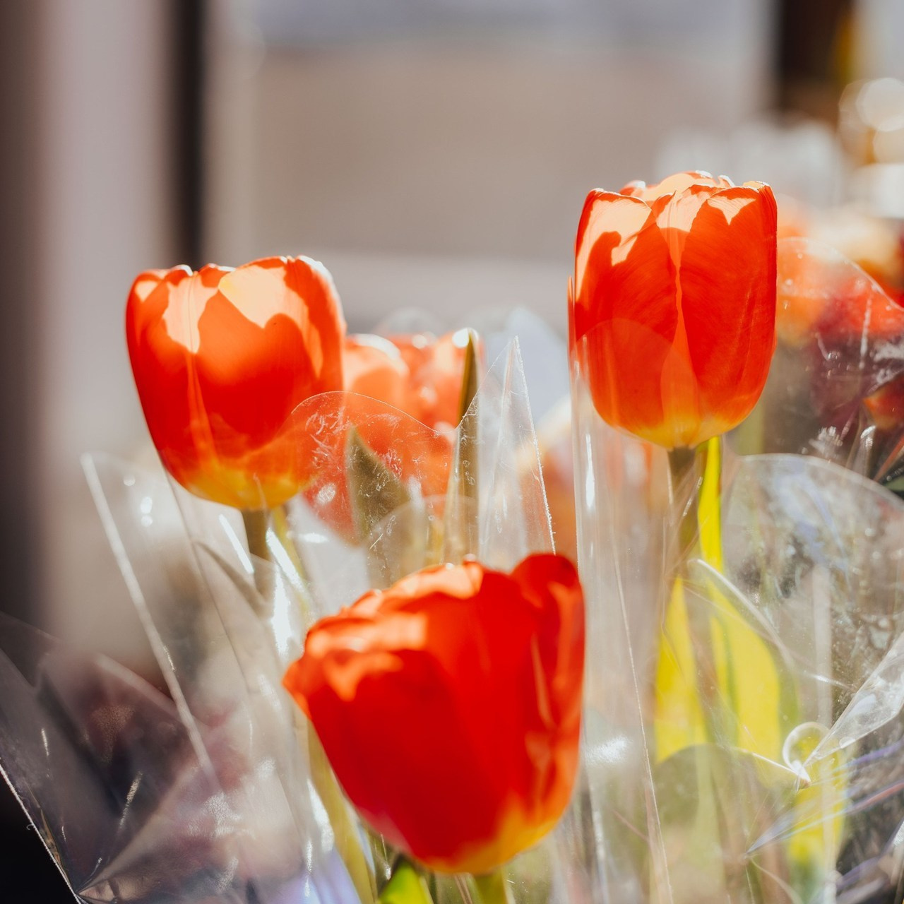 Отзывы. Фотограф Наталья Кургина Слюдянка Иркутск