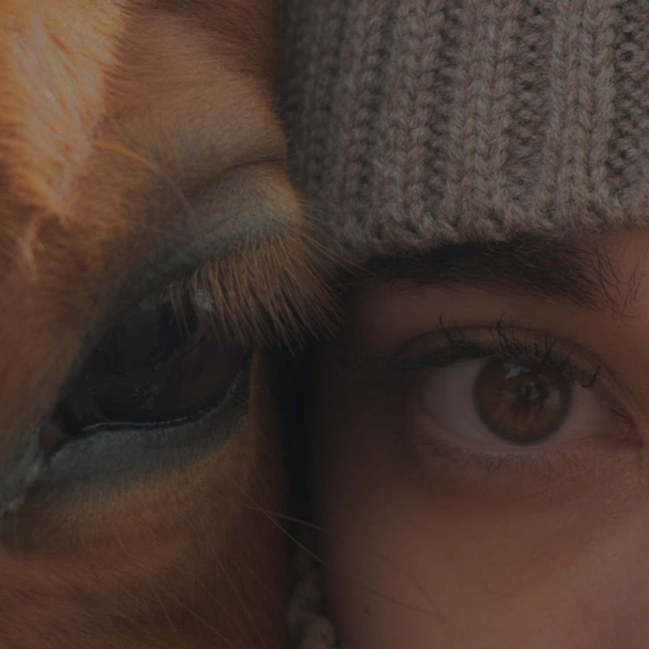 ТВОРЧЕСТВО