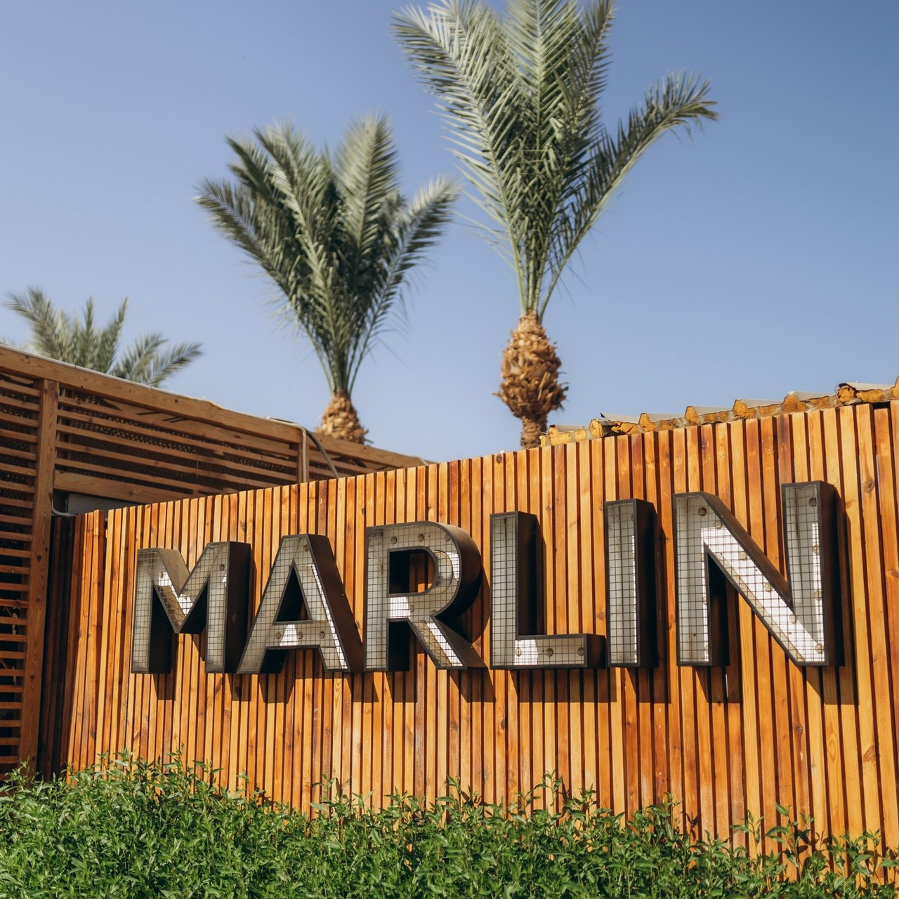 ОТЗЫВЫ. Свадебный и семейный фотограф в Египте Шарм Эль Шейхе Наталья Матлина