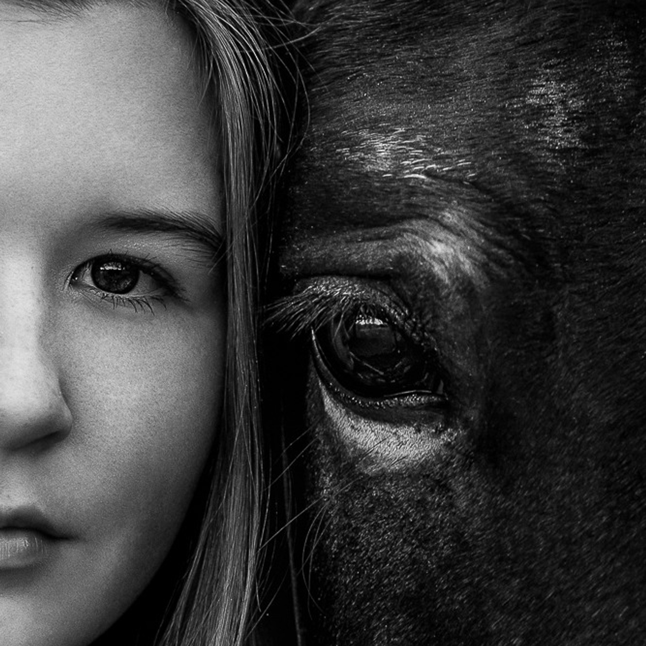 С лошадьми