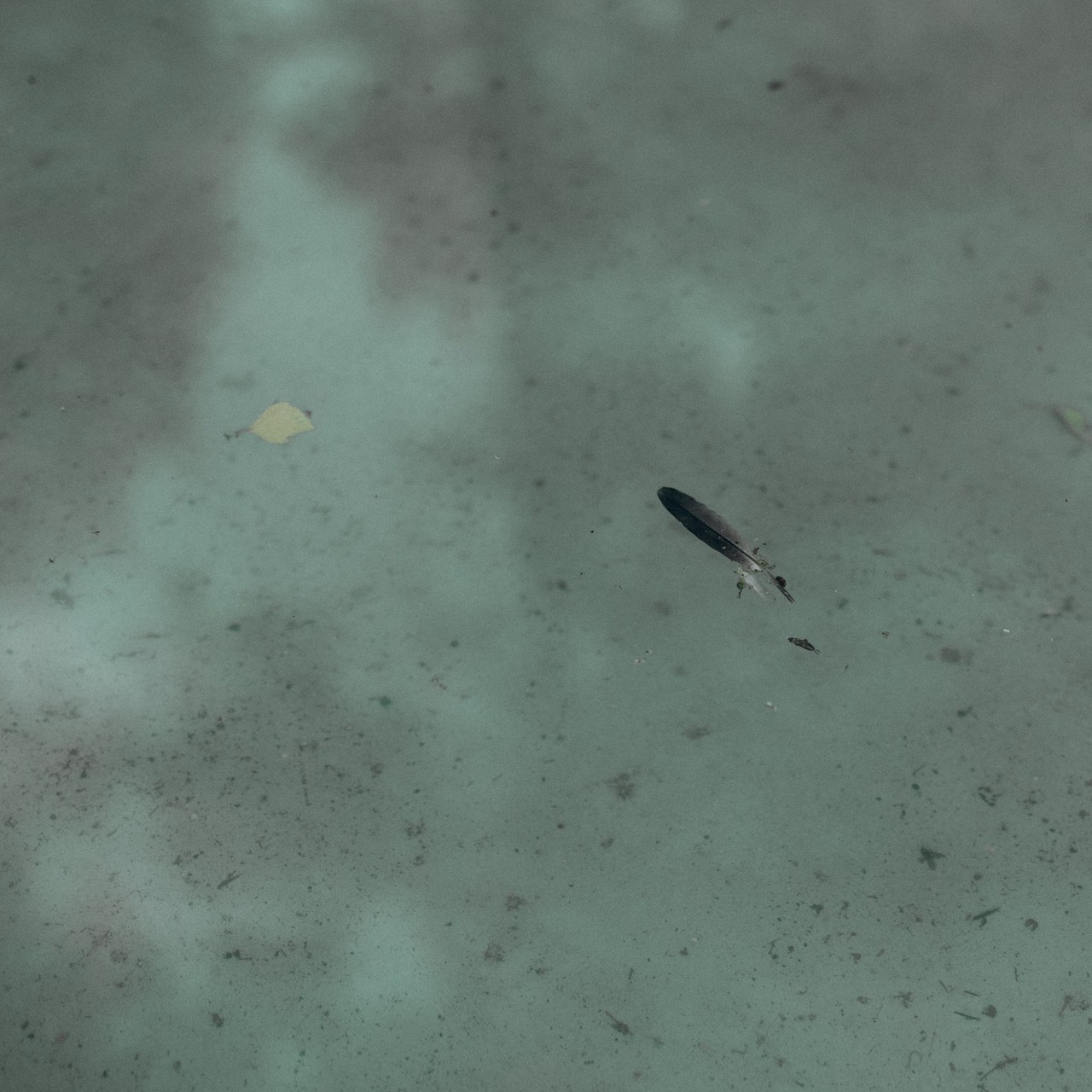 Отзывы. Главная