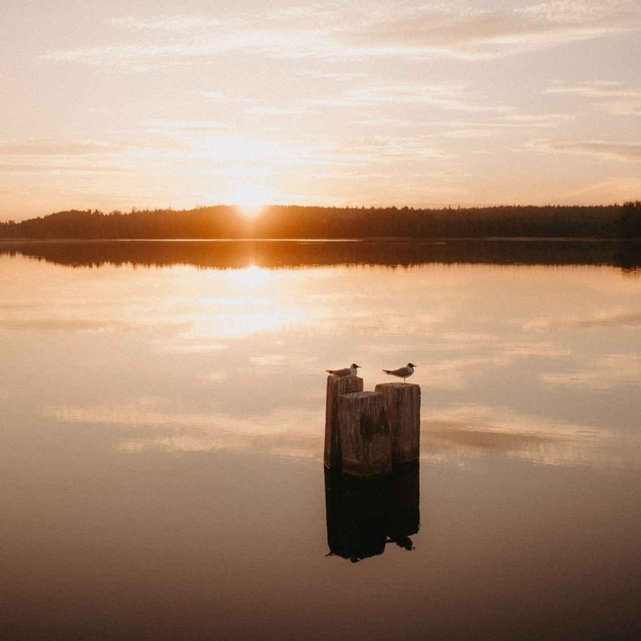 Отзывы. Главная