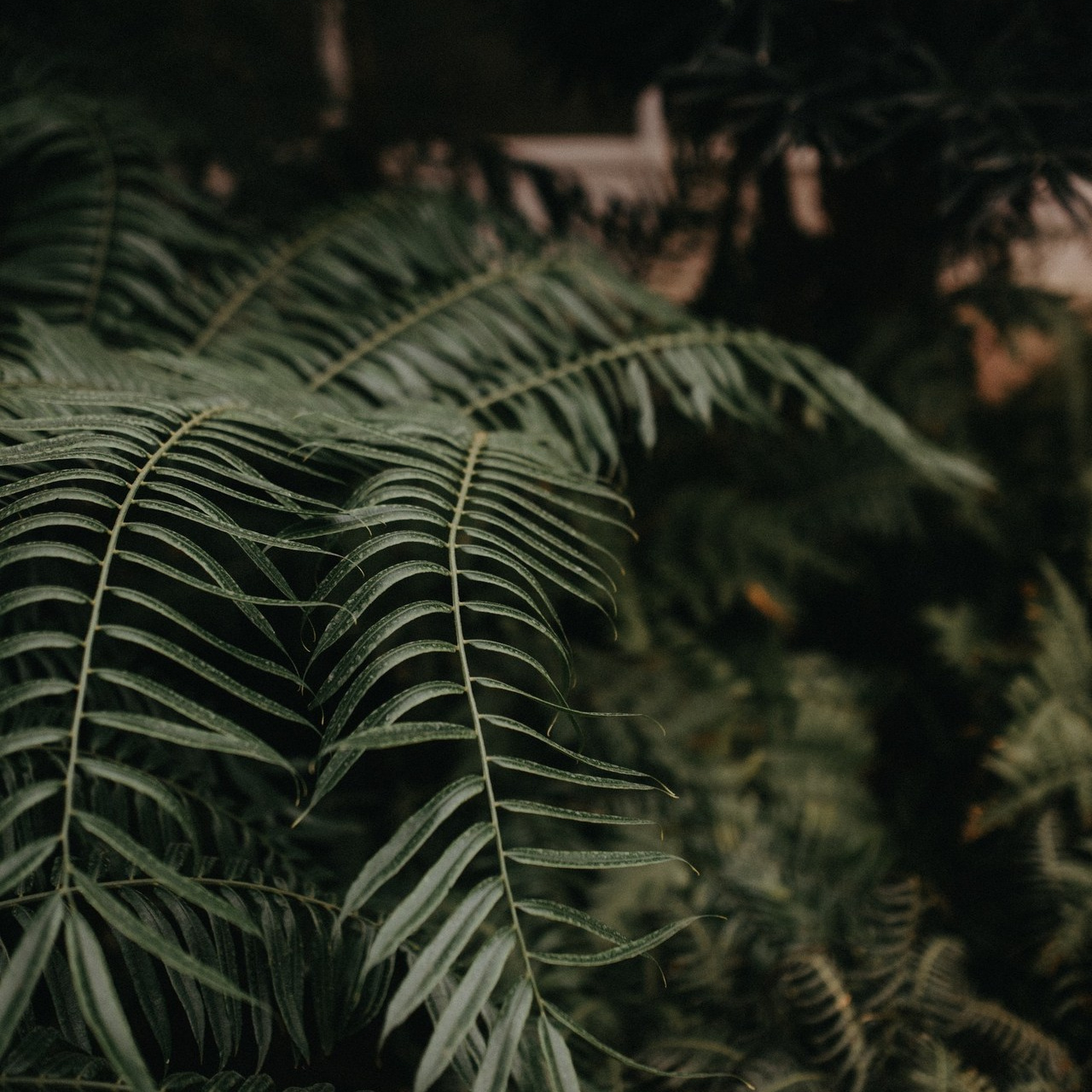 Отзывы. Главная