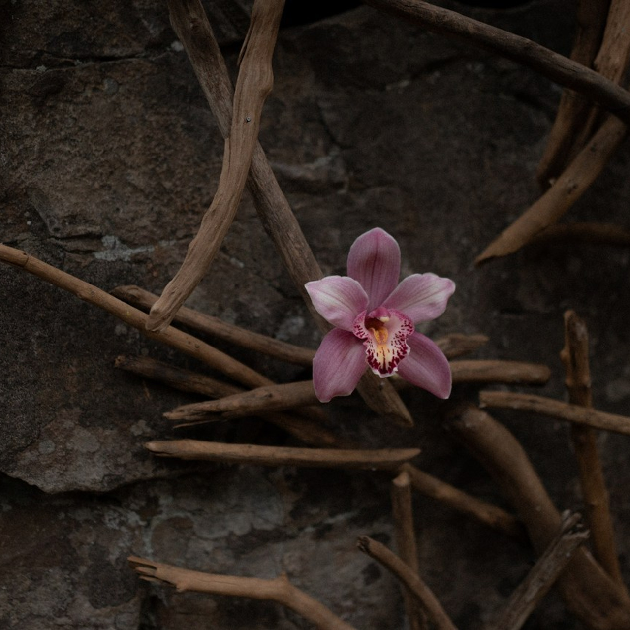 Отзывы. Главная