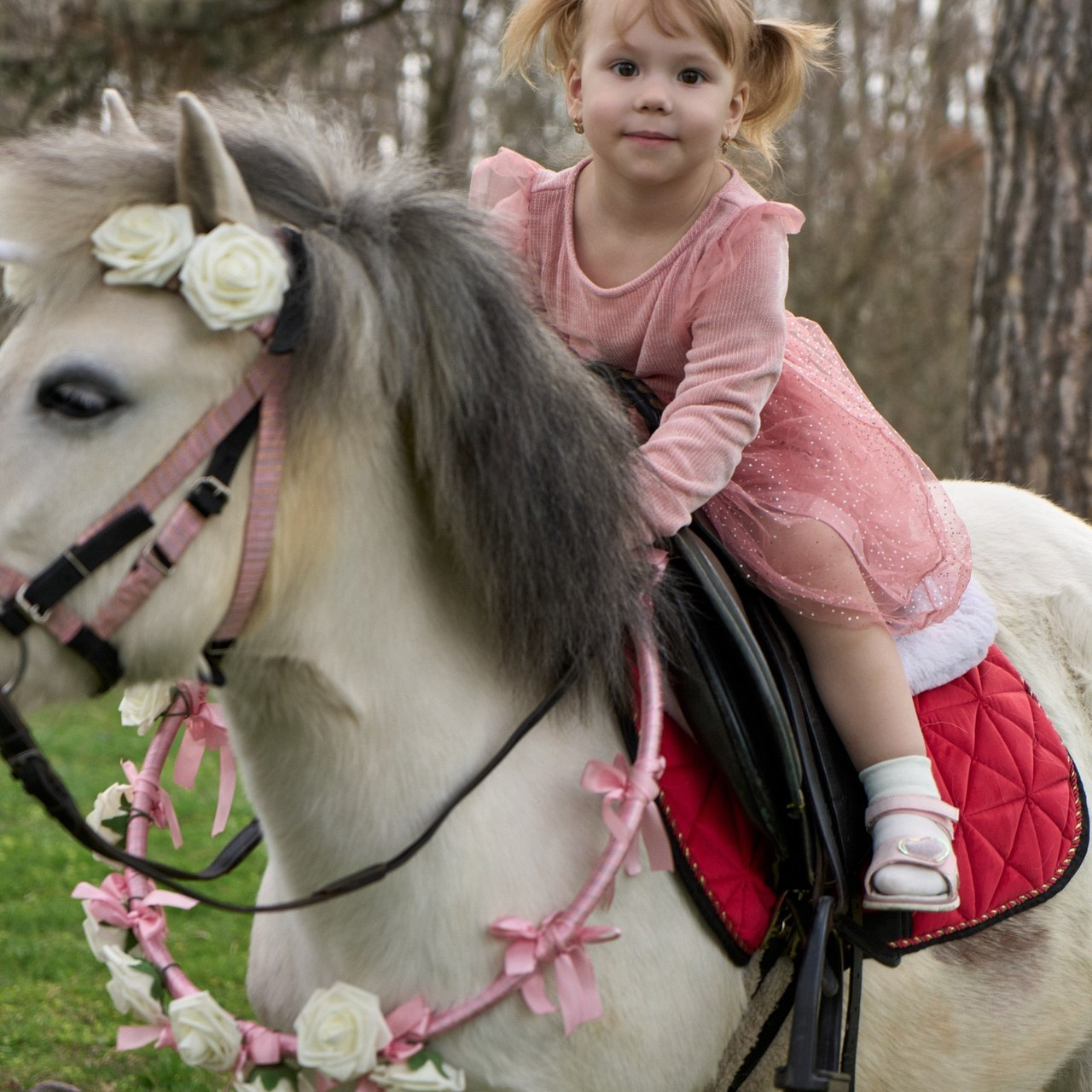 Отзывы. Фотограф в Краснодаре Татьяна Вижевитова