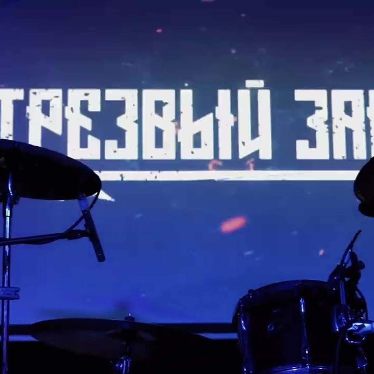 Сlips and concerts. Alex Svarog | Свадебный Фотограф в Москве