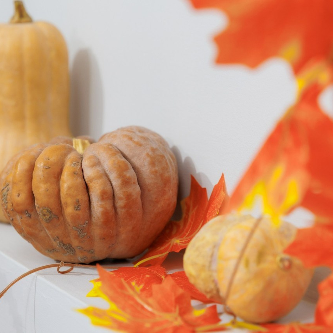 Отзыв. Красильников Евгений — профессиональный фотограф в Ростове-на-Дону