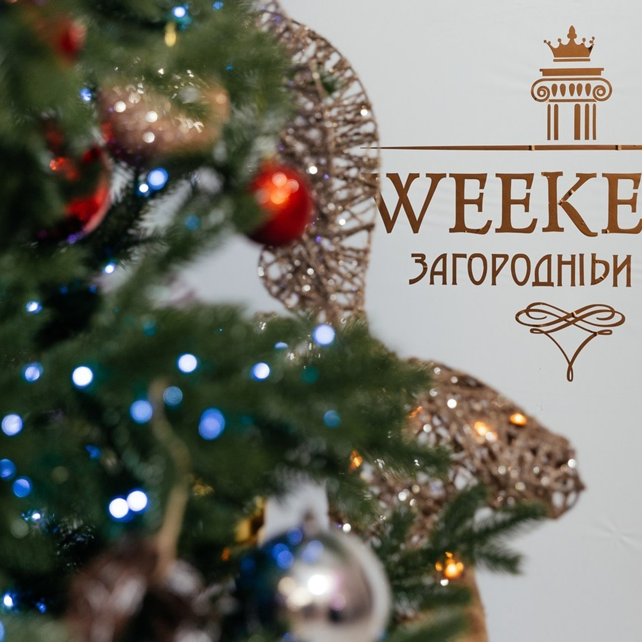 Отзыв. Красильников Евгений — профессиональный фотограф в Ростове-на-Дону