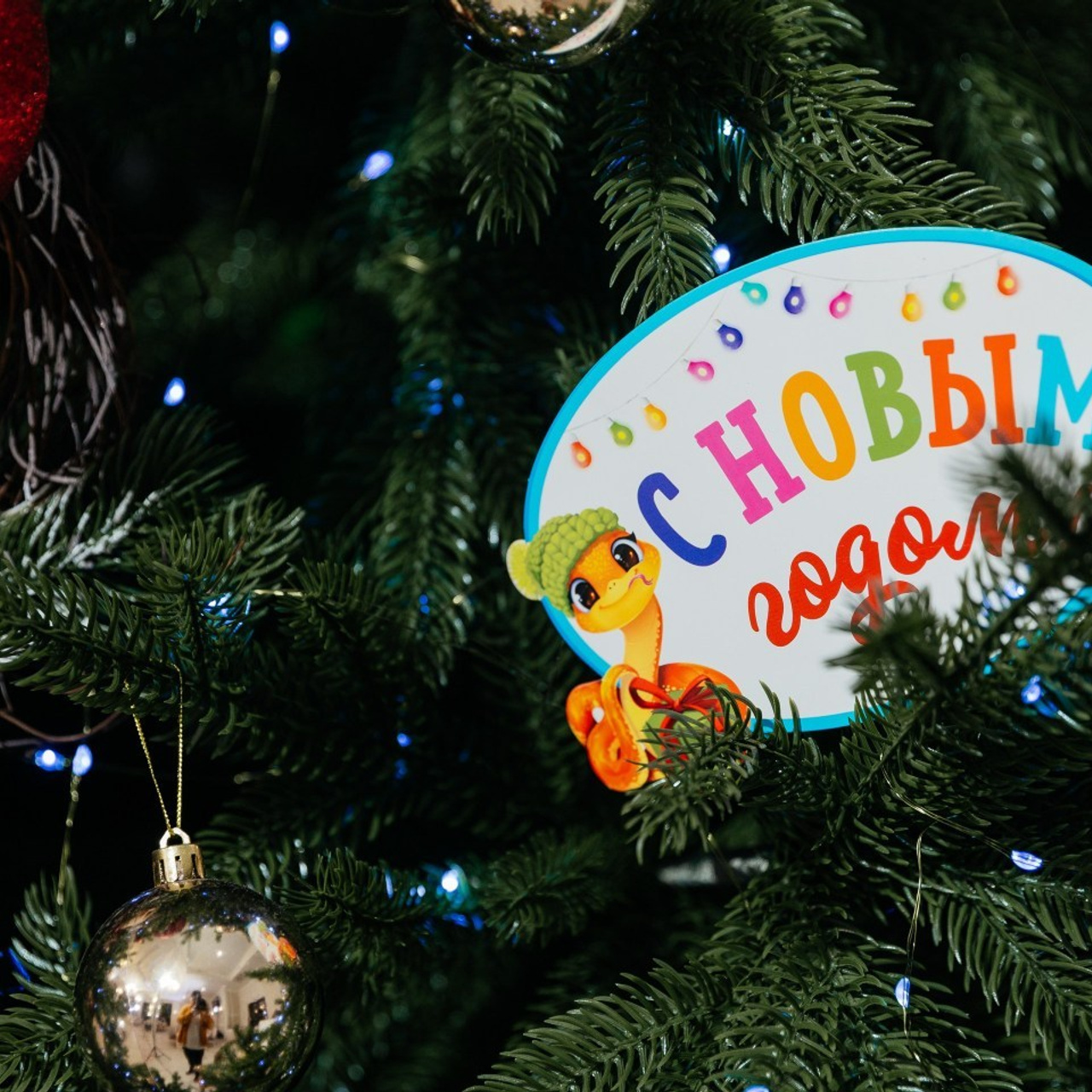 Отзыв. Красильников Евгений — профессиональный фотограф в Ростове-на-Дону