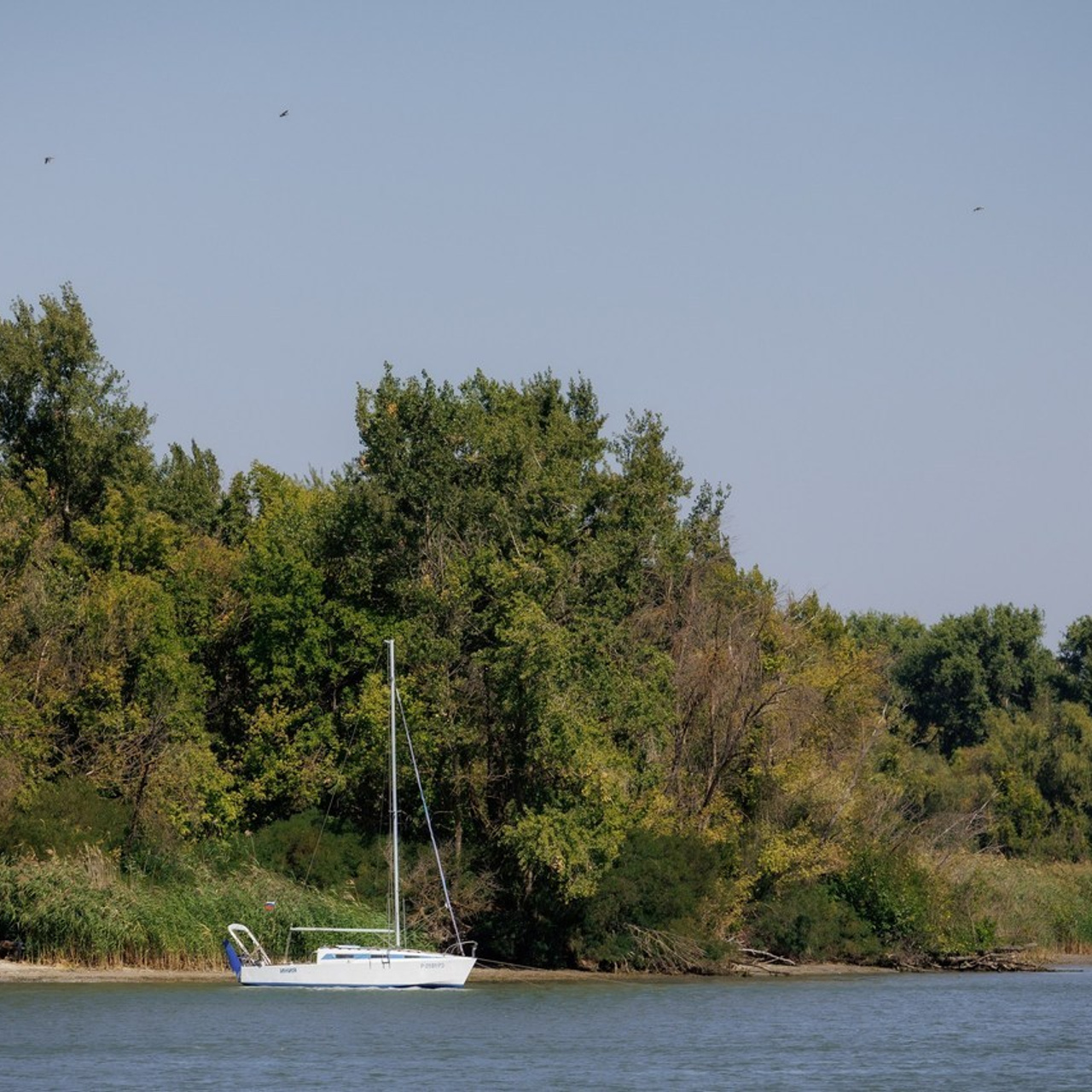 Отзыв. Красильников Евгений — профессиональный фотограф в Ростове-на-Дону