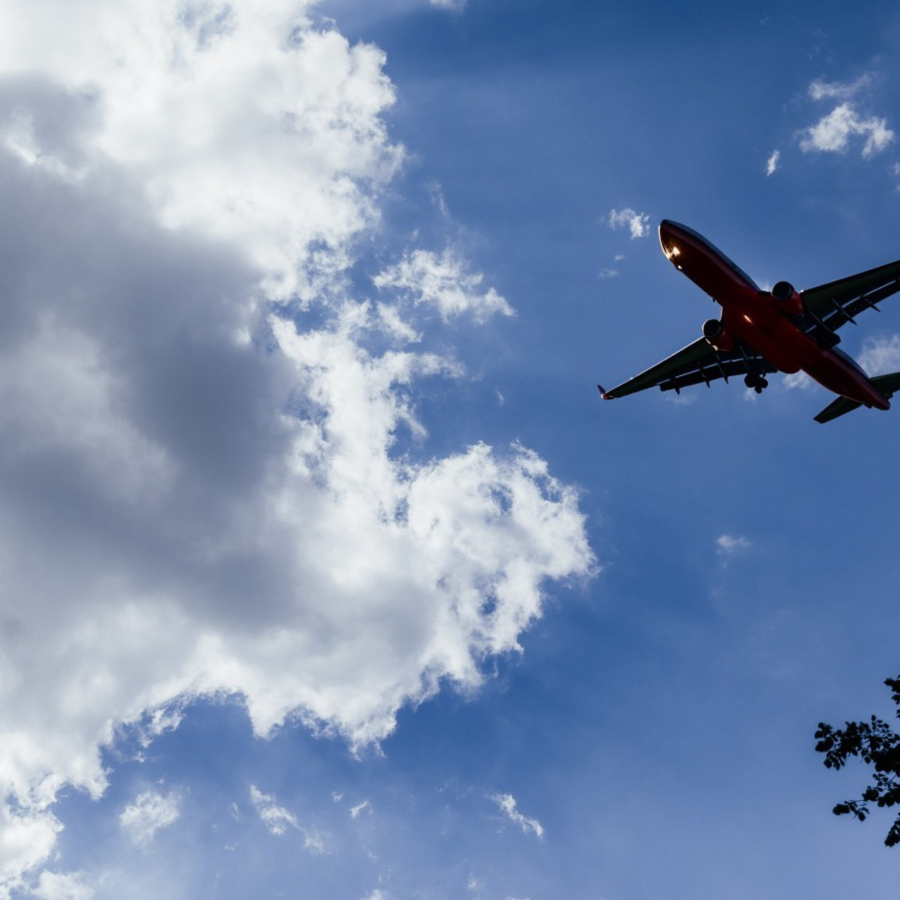 Отзыв. Красильников Евгений — профессиональный фотограф в Ростове-на-Дону