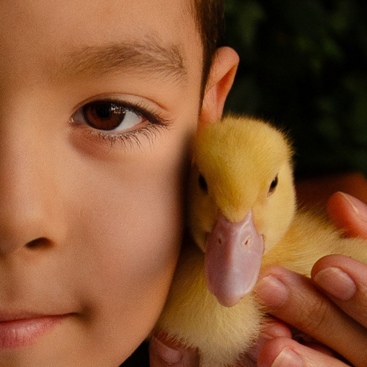 Маленький фермер