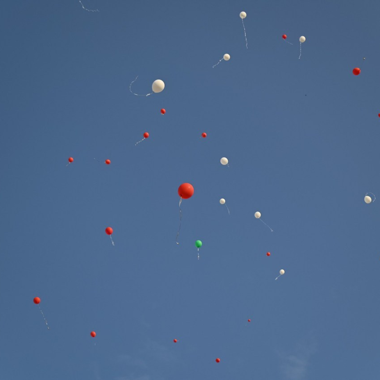 Отзывы. Фотограф Олег Юршевич Солигорск Минск