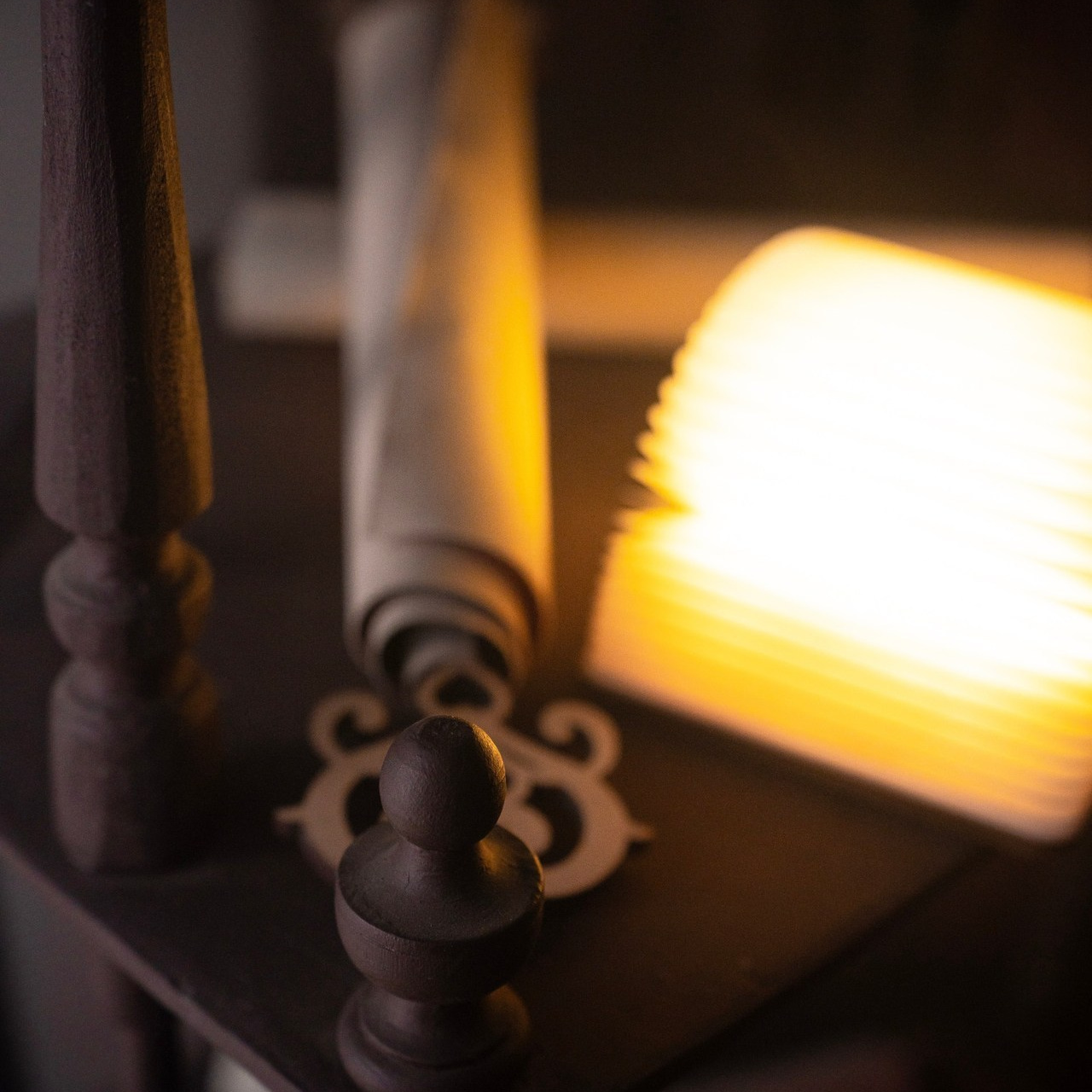 Отзывы. Фотограф Веста Шикунова