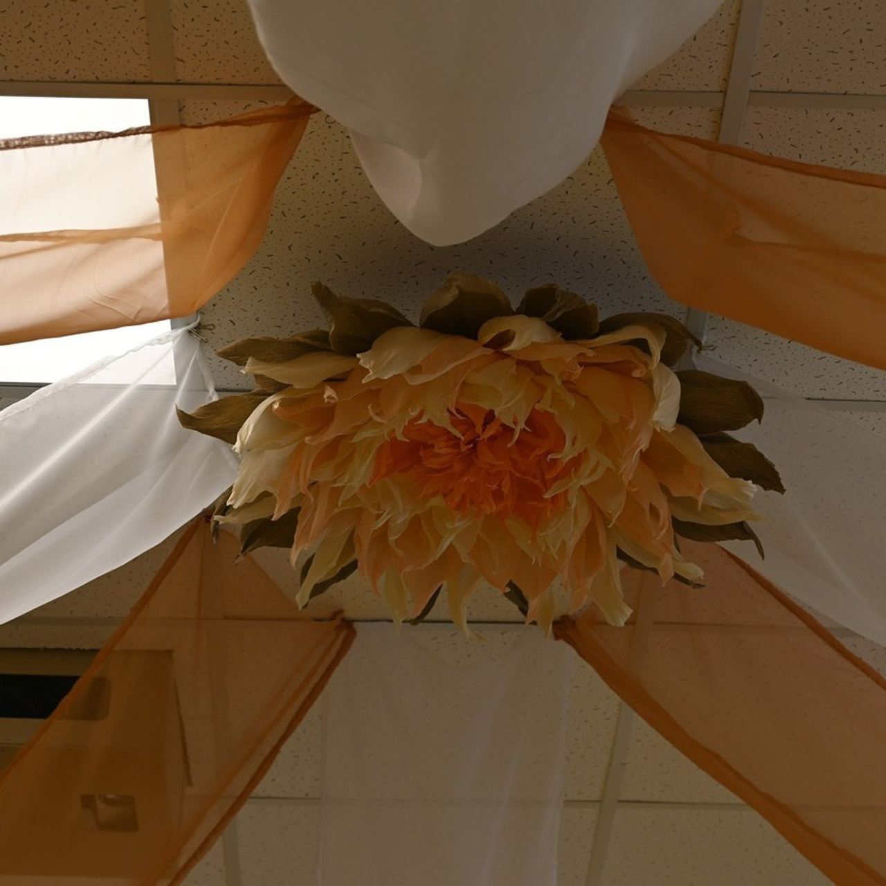 Отзывы. Семейный, детский, репортажный фотограф в Обнинске Соколова Ольга