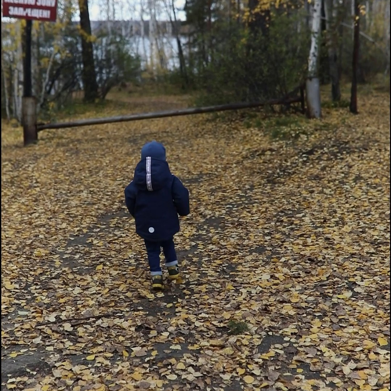 Отзывы. Свадебный и семейный фотограф в Иркутске Яна Лиа