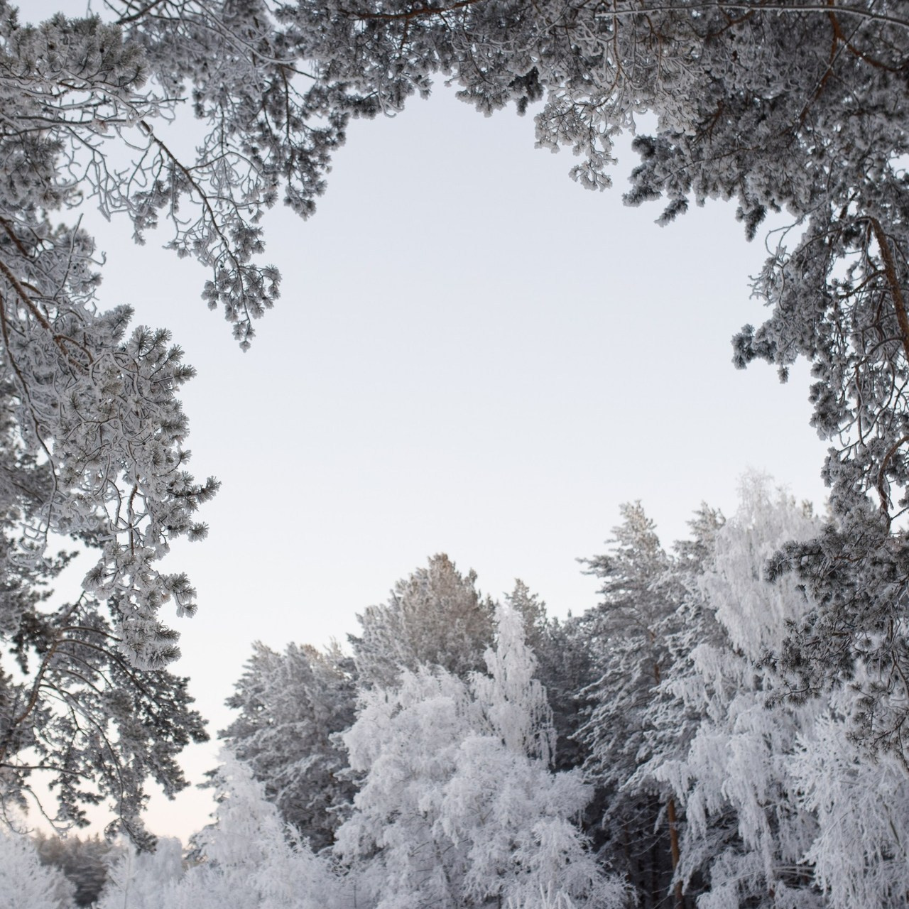 Отзывы. Свадебный и семейный фотограф в Иркутске Яна Лиа