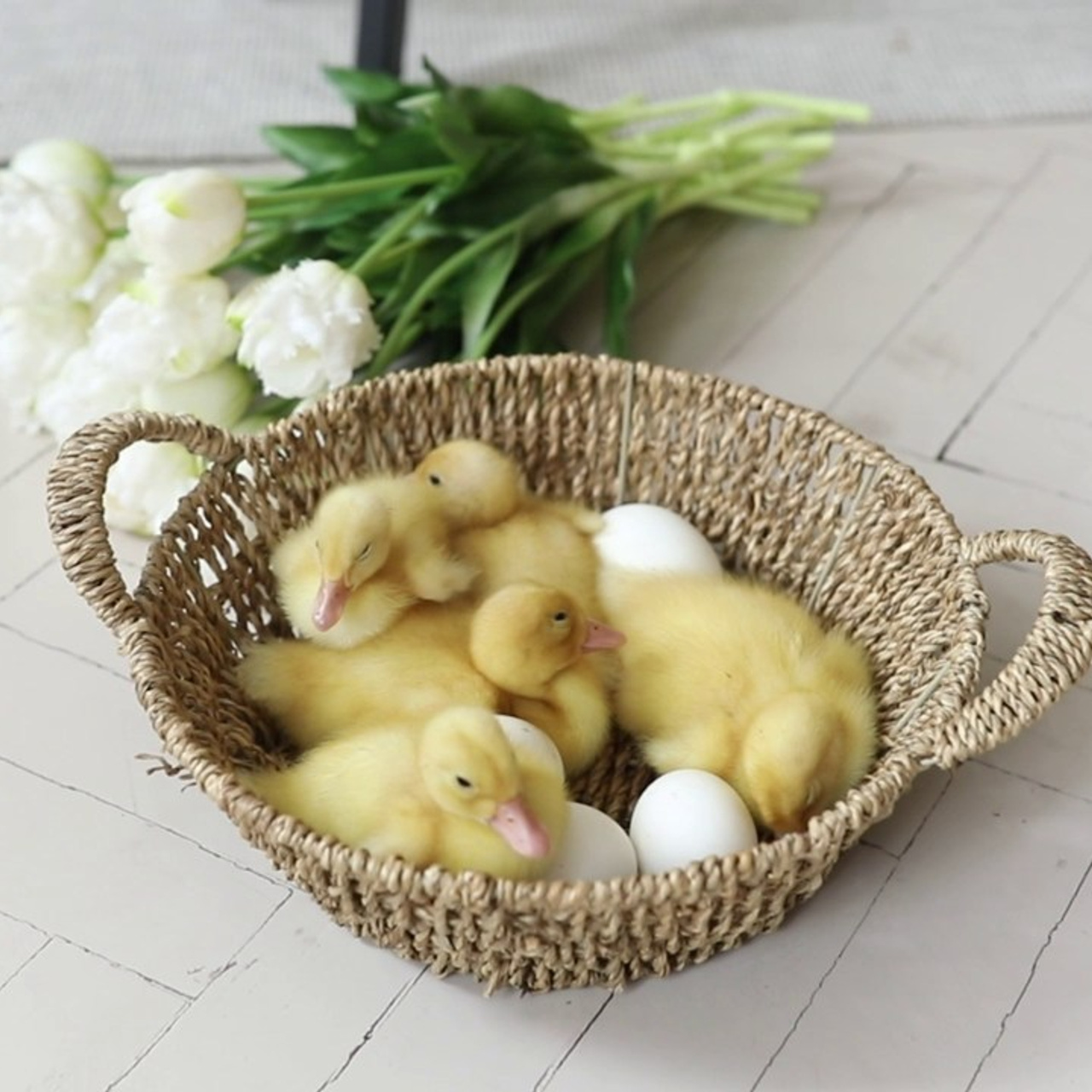 Отзывы. Свадебный и семейный фотограф в Иркутске Яна Лиа