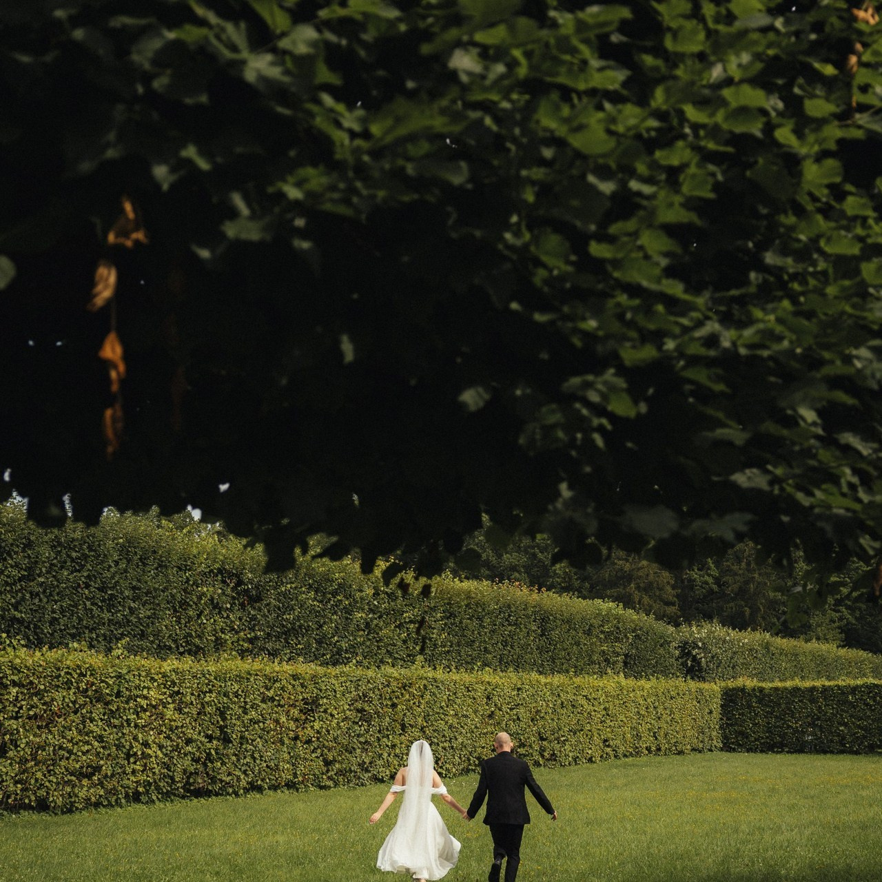 Отзывы о фотосессии. Свадебный фотограф Санкт-Петербург Питер Сальникова Анна