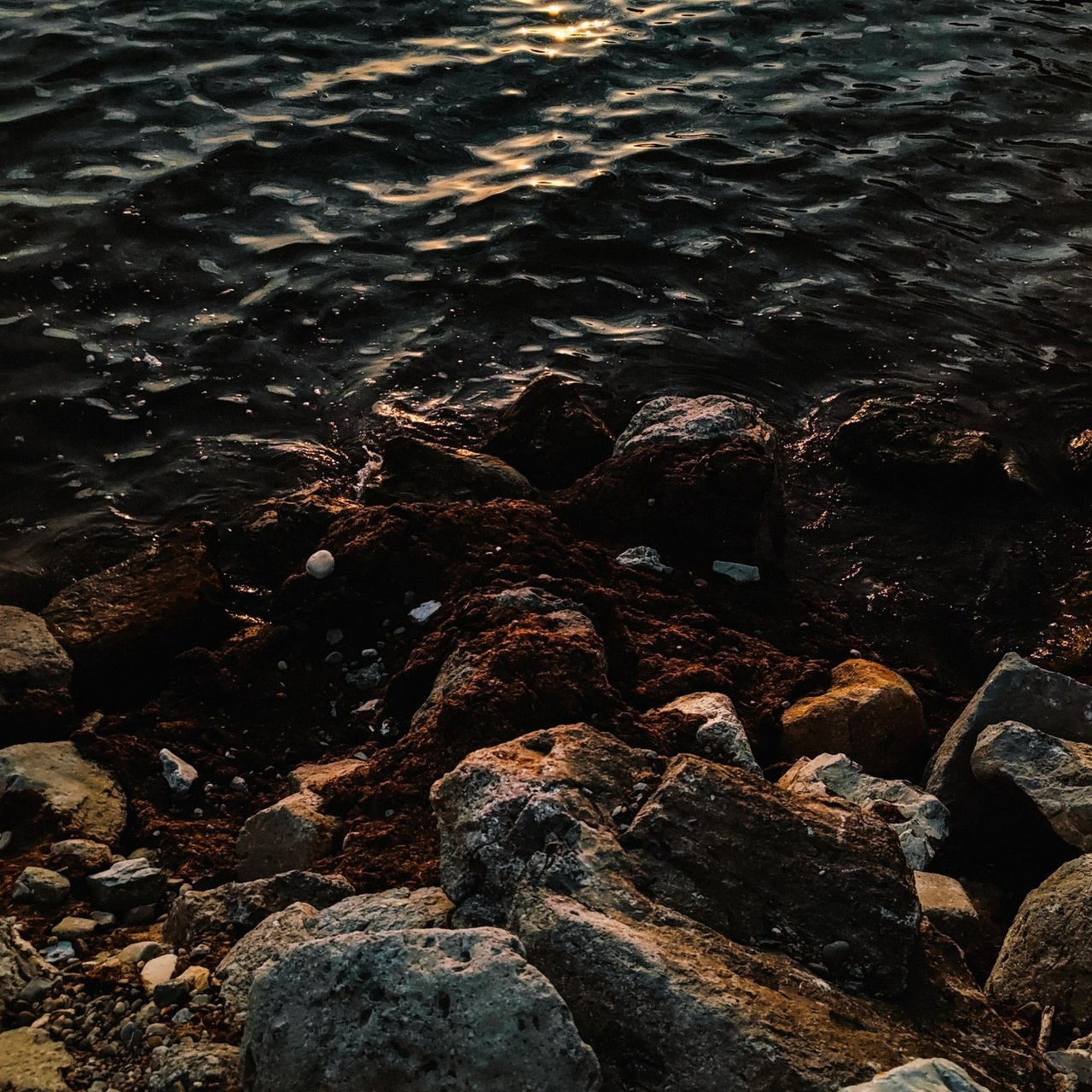 Отзывы. Фотограф в Краснодаре Лагунов Владимир