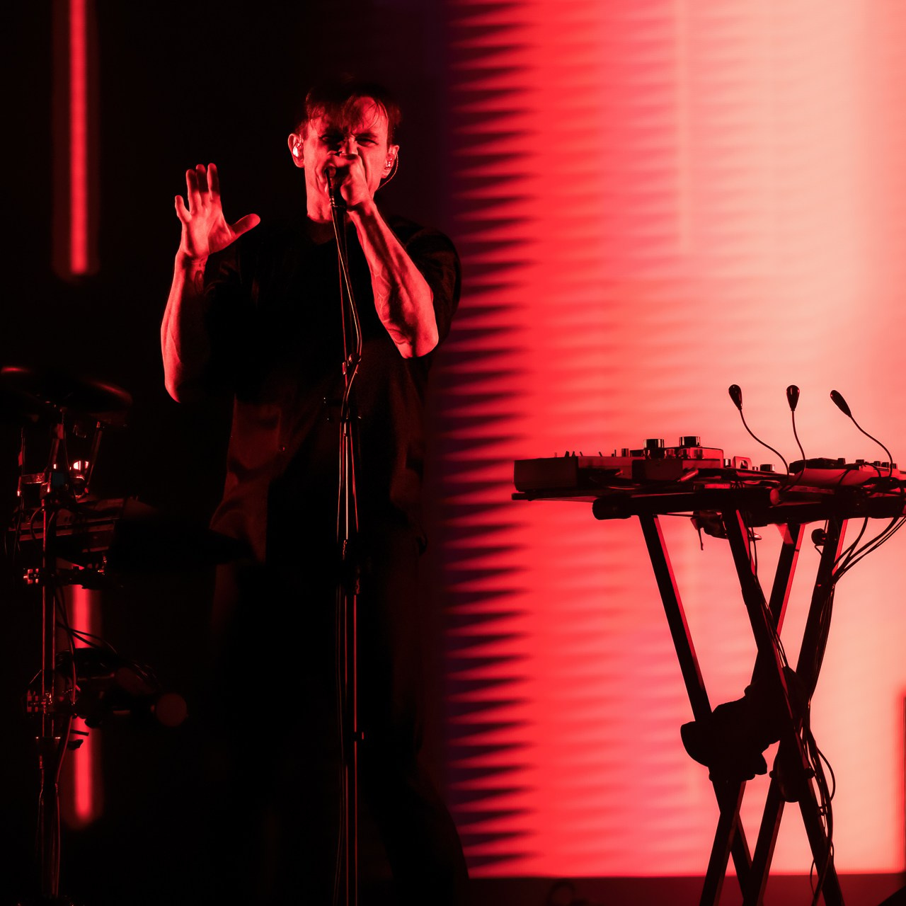 Дельфин, 09.06.24, Зеленый театр, Red Summer