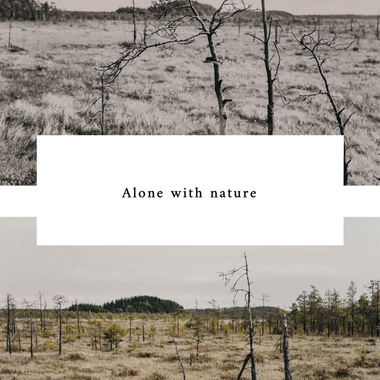 Nature inspiration