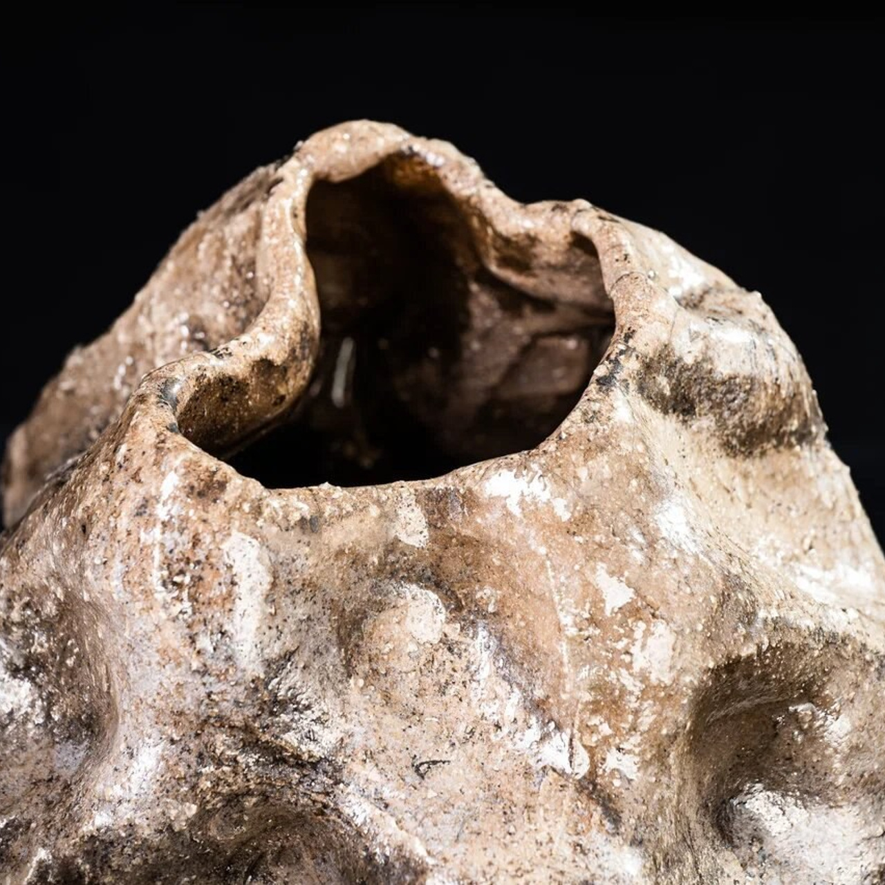 Ваза «Велера»