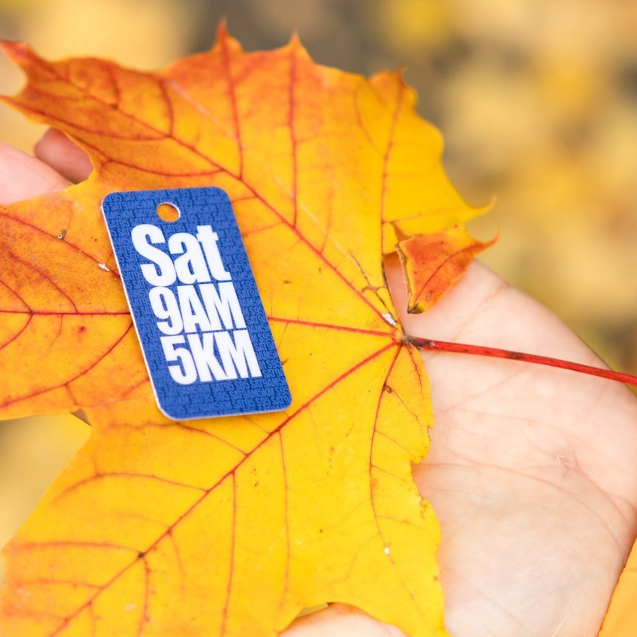 Отзывы. Репортажный, семейный, школьный фотограф в Иванове Инна Крылова