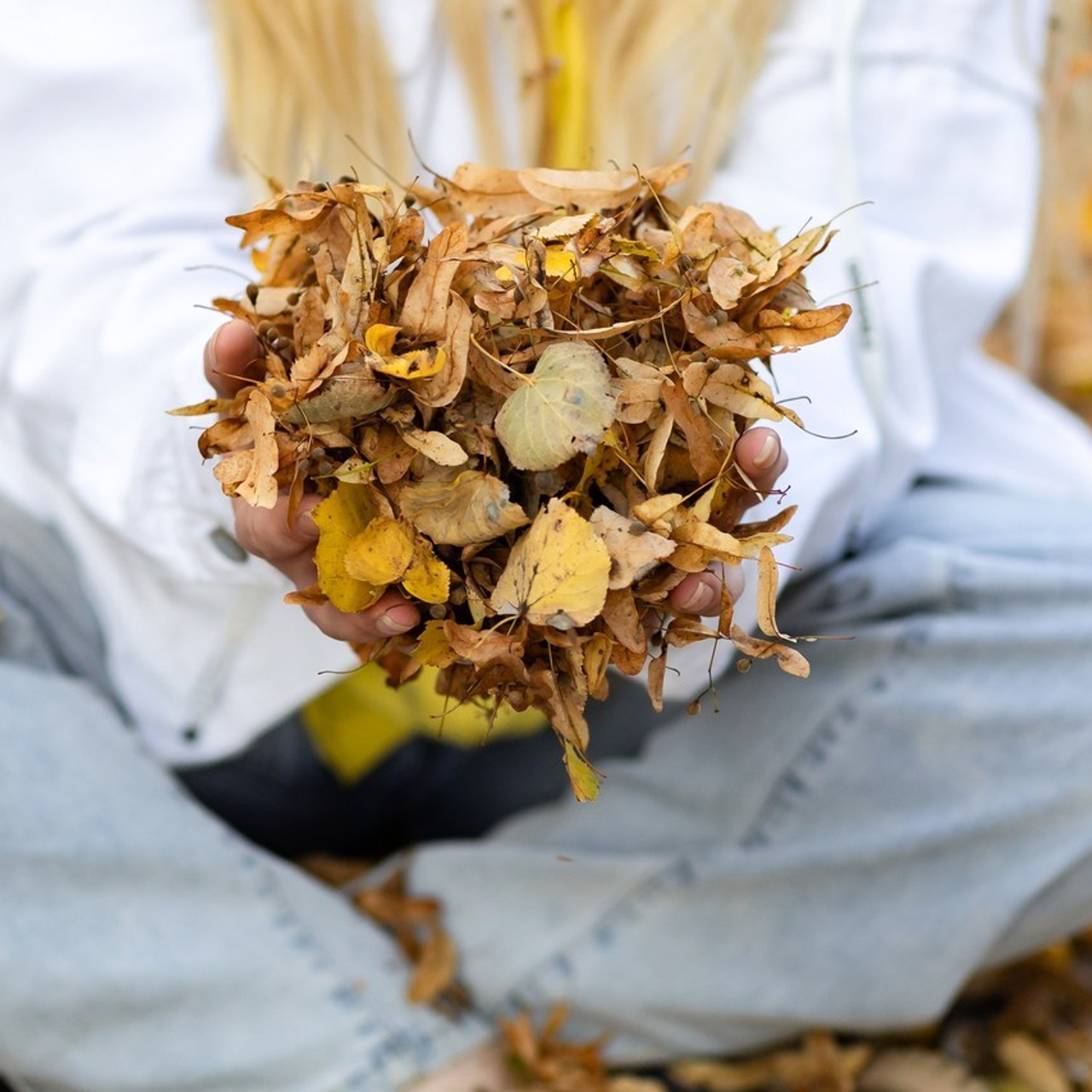Отзывы. Репортажный, семейный, школьный фотограф в Иванове Инна Крылова