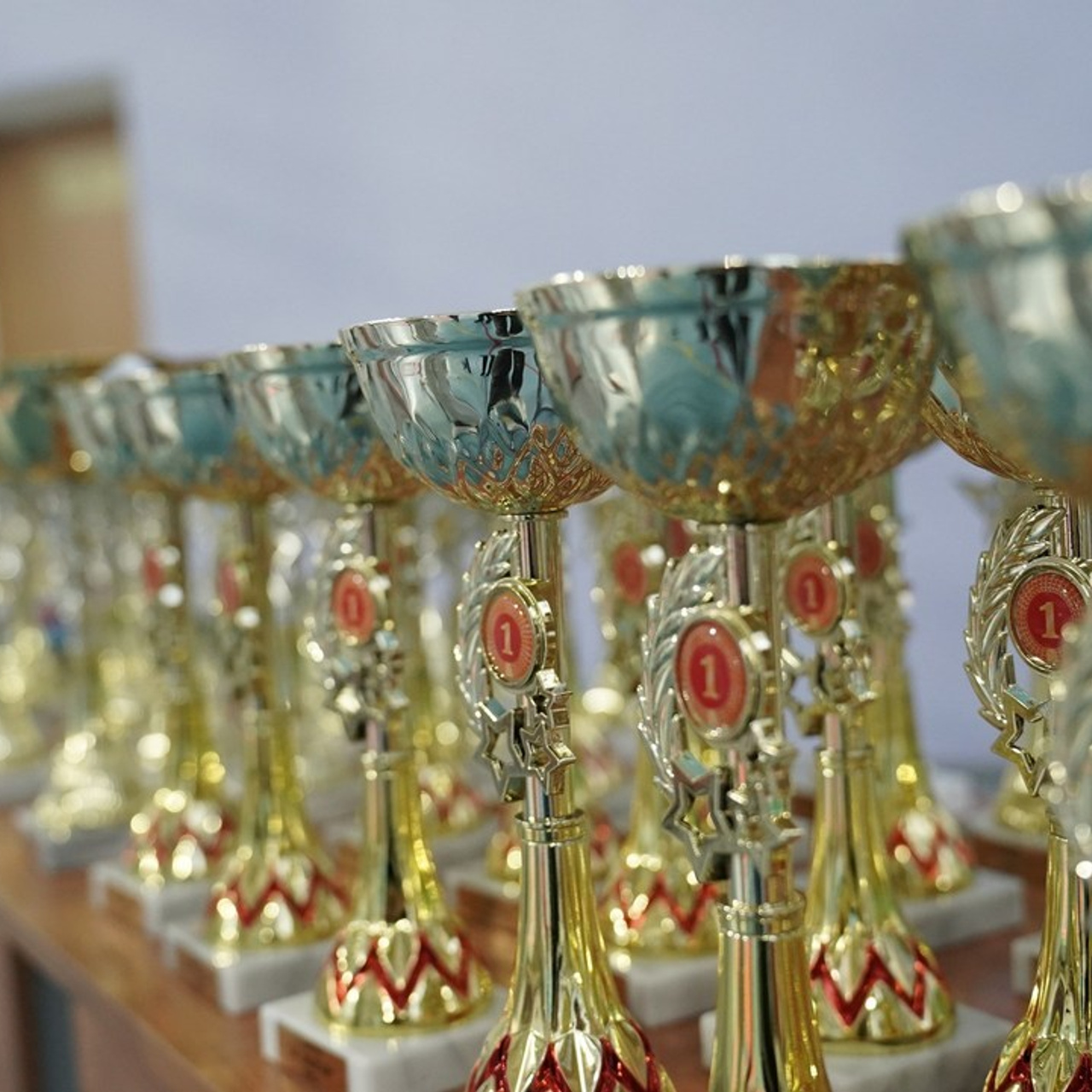 Фотограф Светлана Горлова