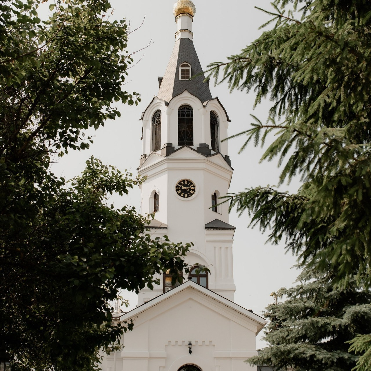 Отзывы. Свадебный фотограф Беларусь Постникова Анастасия