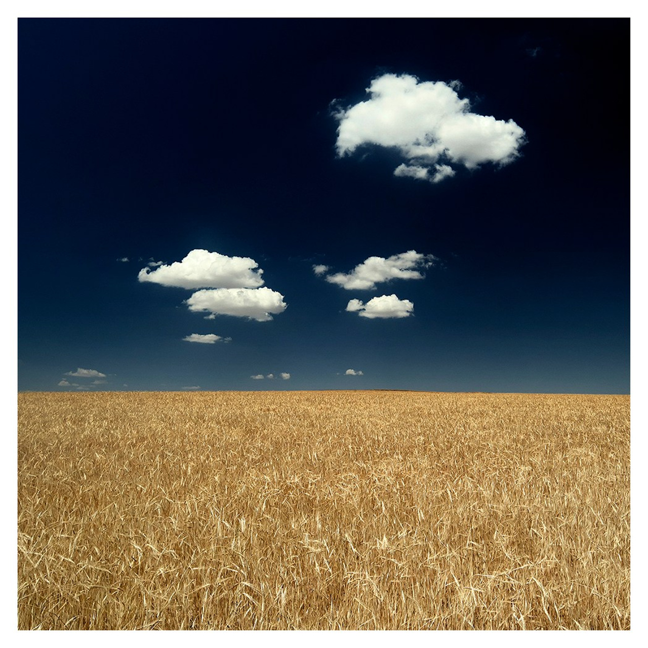 News. Vasiliy Riabovol — Fine Art Photographer | Time, Space, and Silence